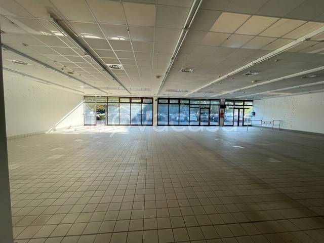 immagine annuncio 2 di 8