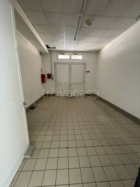 immagine annuncio 4 di 8