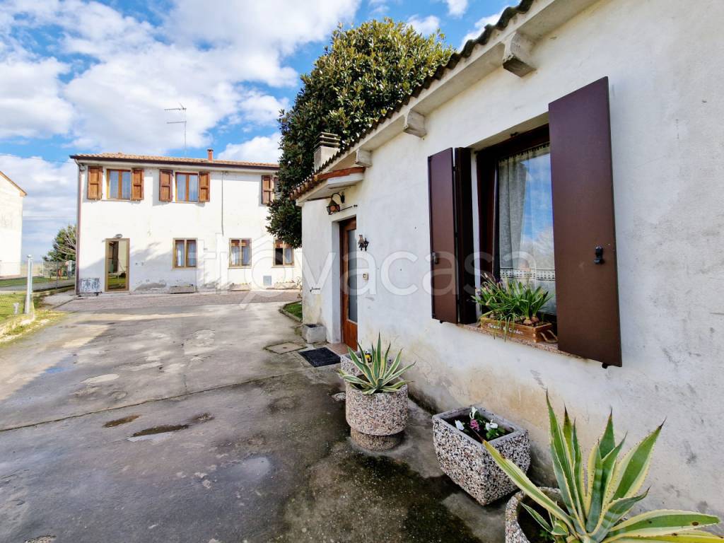 Villa Bifamiliare in vendita a Fratta Polesine via paolino