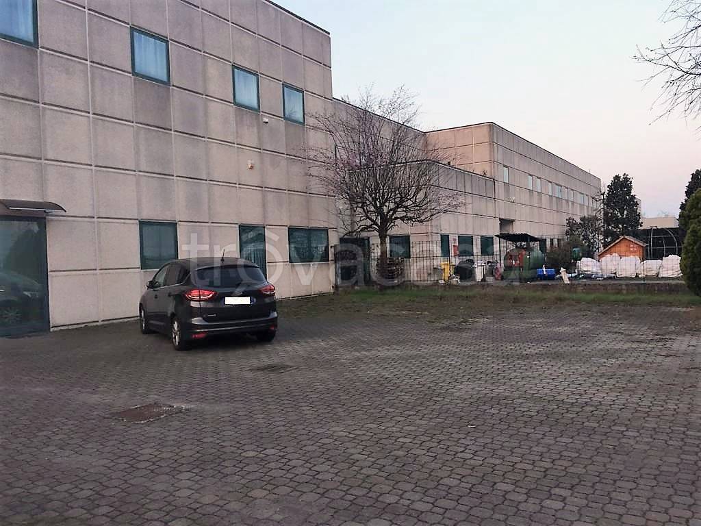 immagine annuncio 6 di 15