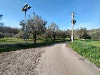 Terreno agricolo in vendita a giano vetusto via marotta