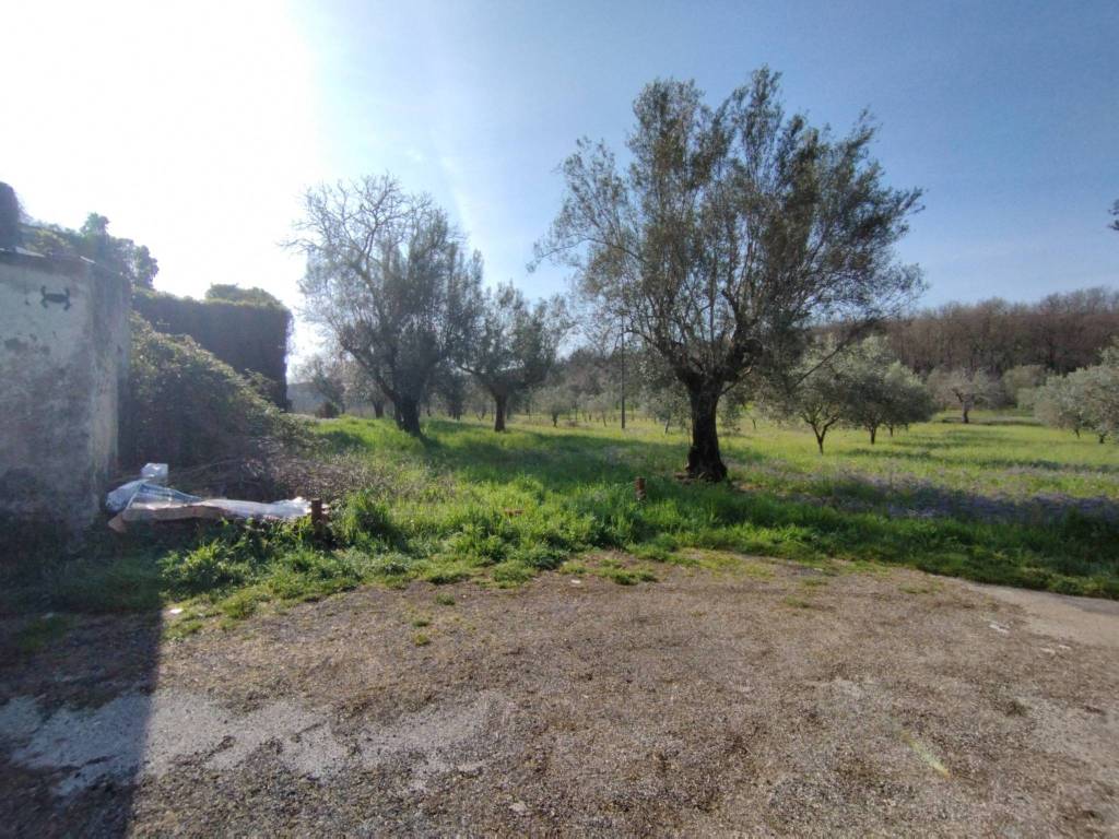 immagine annuncio 1 di 7