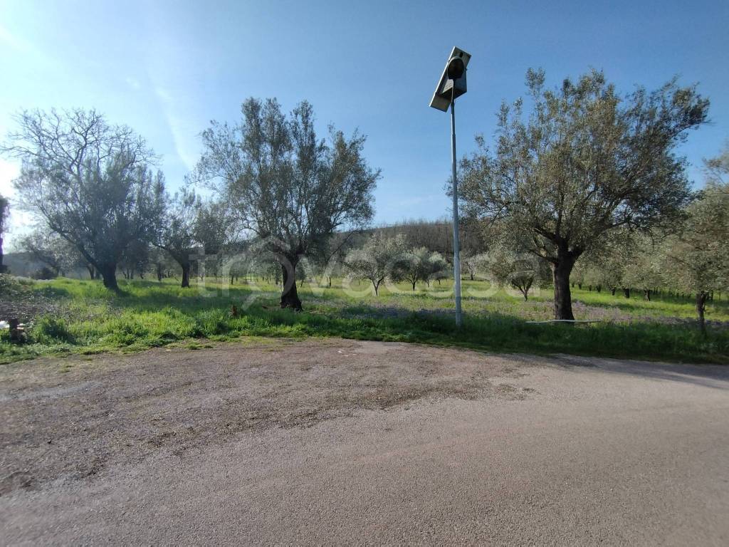 immagine annuncio 2 di 7