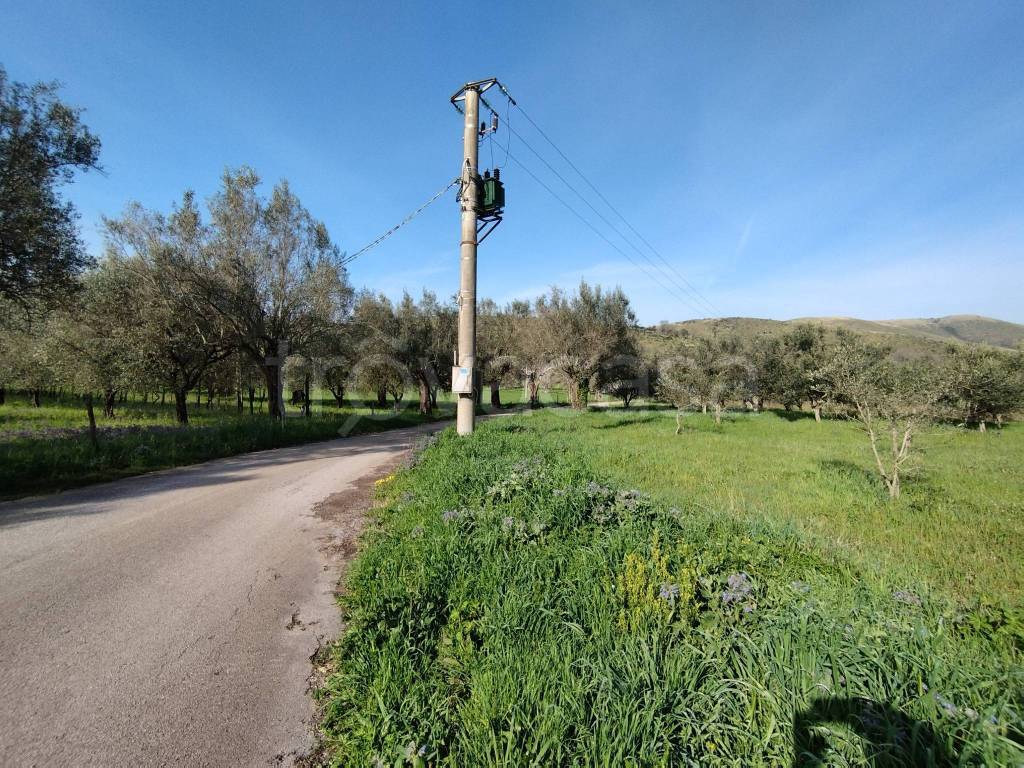 immagine annuncio 3 di 7