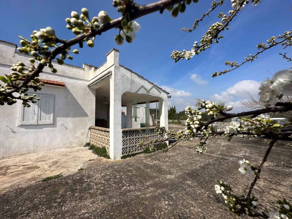 Villa Bifamiliare in vendita a Ostuni sp22