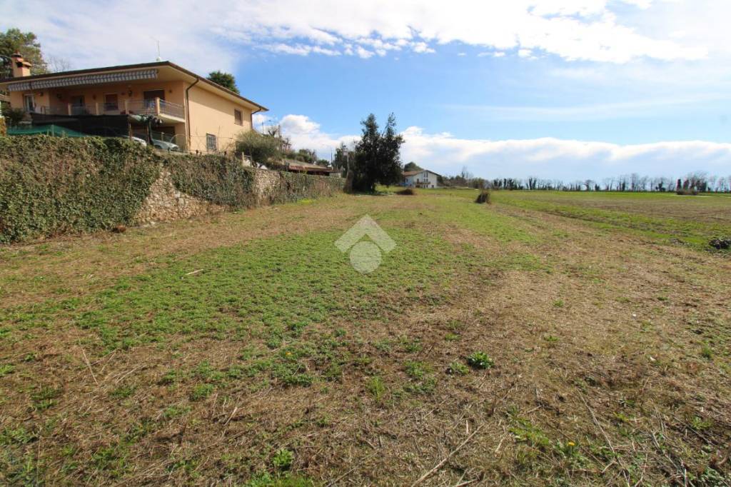 immagine annuncio 3 di 14