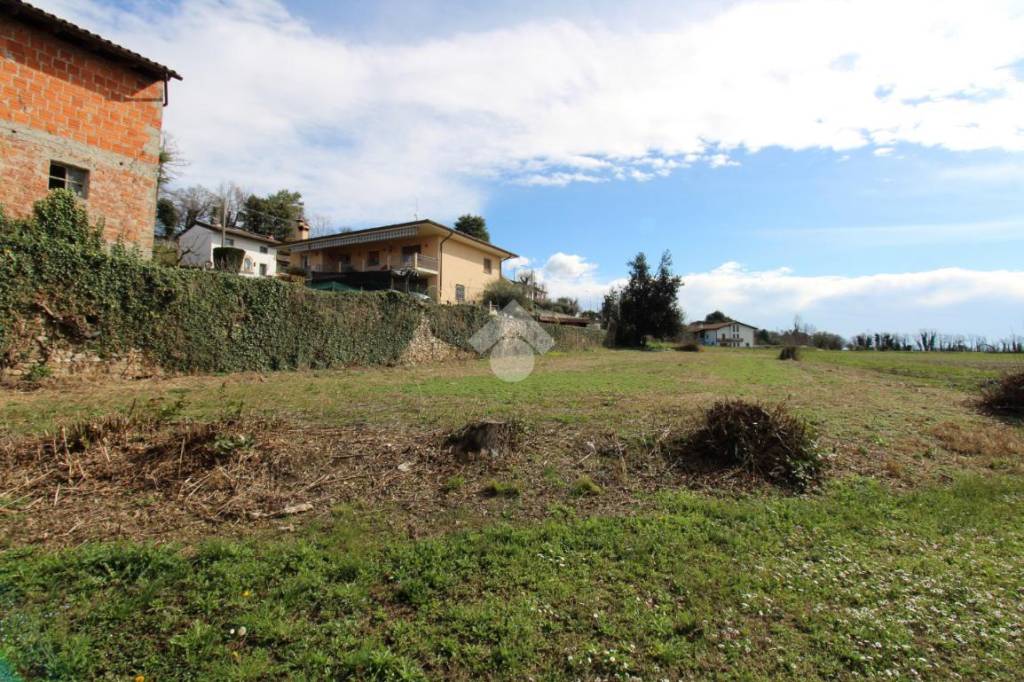 immagine annuncio 11 di 14
