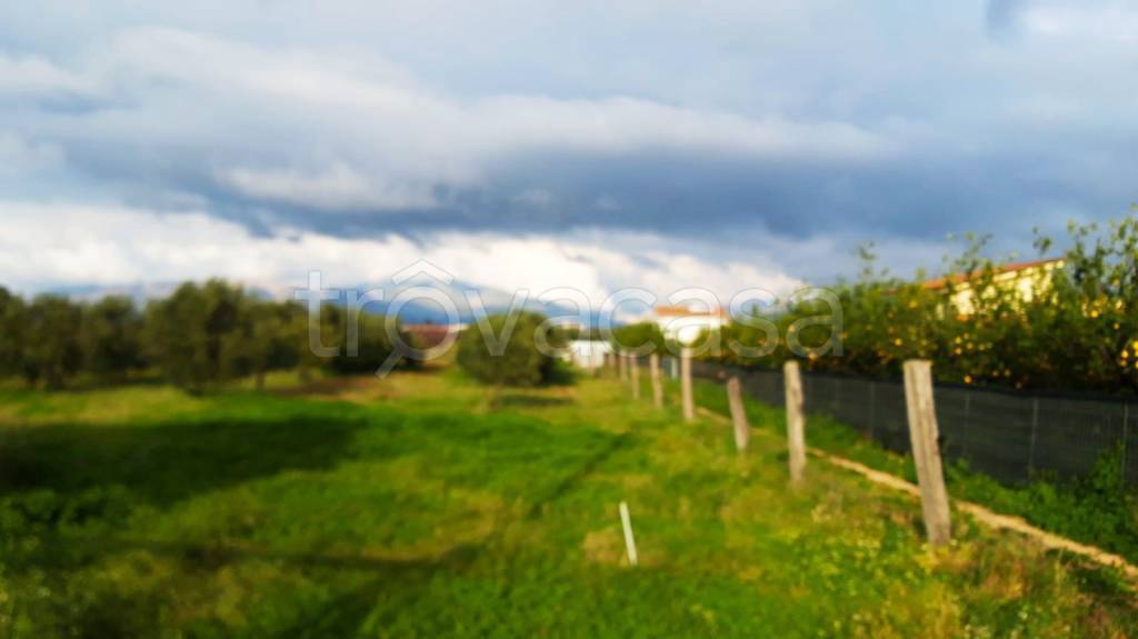 immagine annuncio 4 di 8