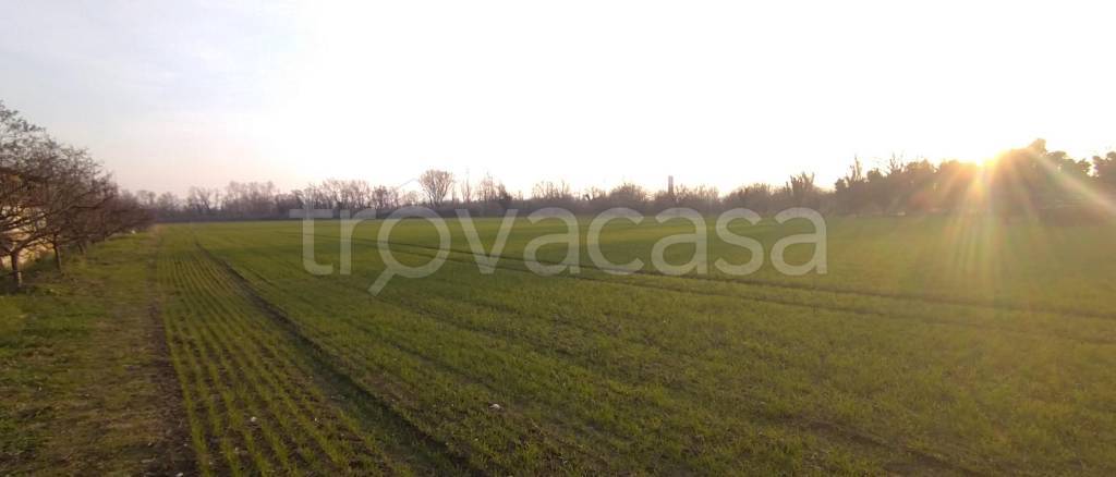 Terreno Agricolo in vendita a Verona