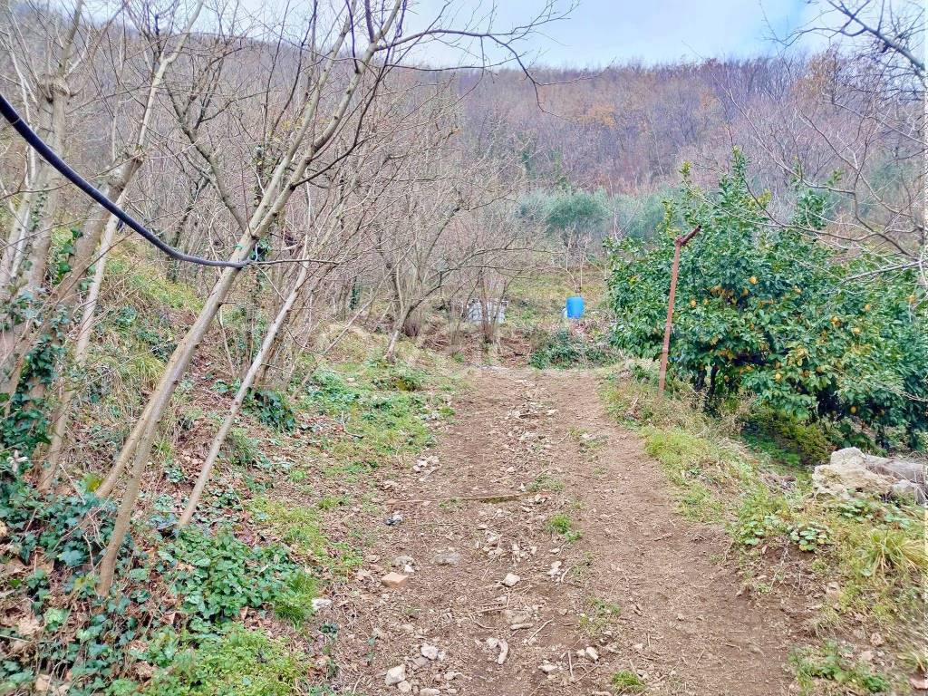 immagine annuncio 5 di 8