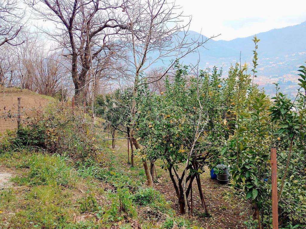 immagine annuncio 6 di 8