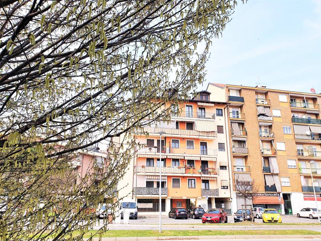 immagine annuncio 1 di 15