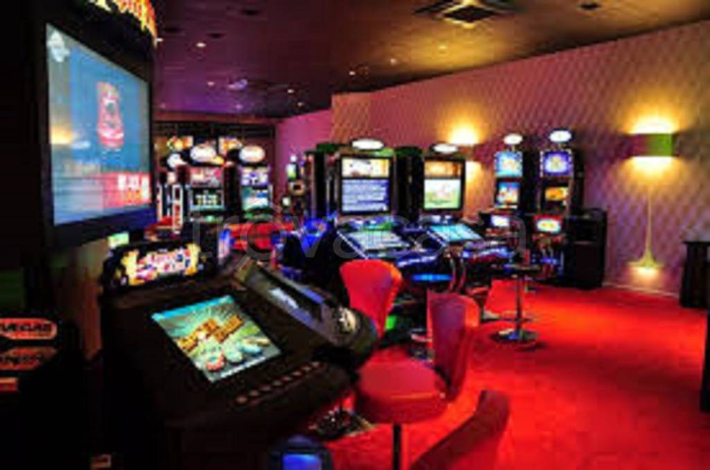 immagine annuncio 6 di 11