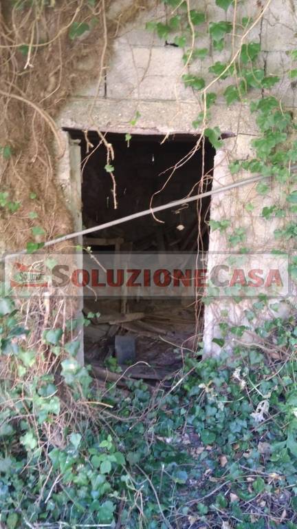 immagine annuncio 3 di 7
