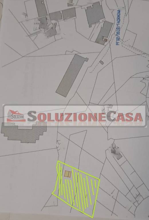 immagine annuncio 5 di 7