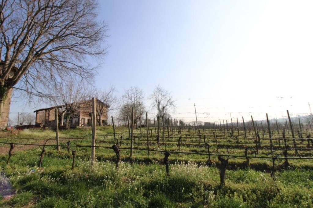 immagine annuncio 10 di 15