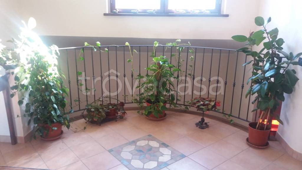 immagine annuncio 6 di 12