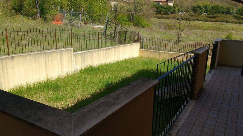 immagine annuncio 3 di 14