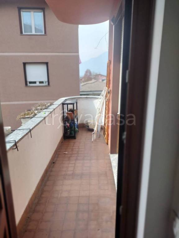 immagine annuncio 5 di 14