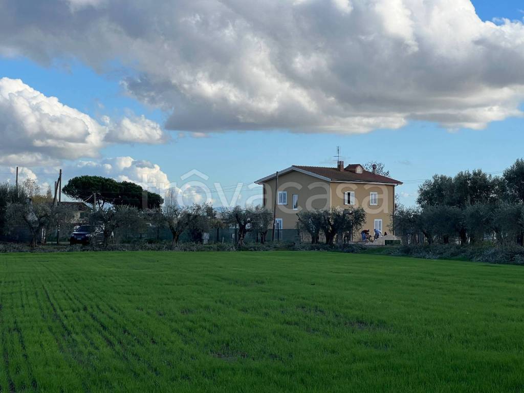 Terreno Agricolo in vendita a Cisterna di Latina via Corsica