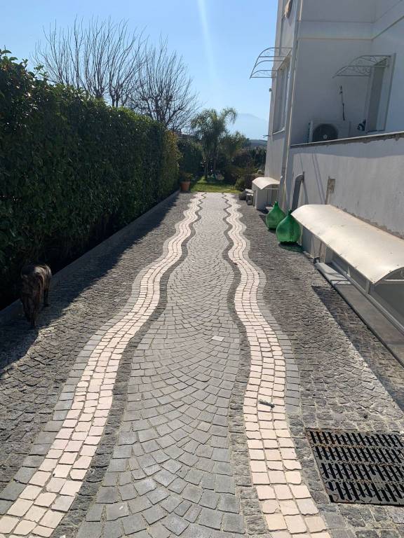 immagine annuncio 6 di 14