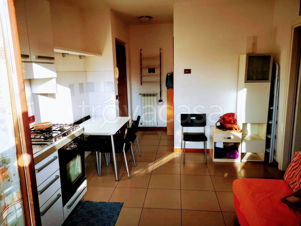 Appartamento in in affitto da privato a Castelnuovo Berardenga via Sibilla Aleramo, 1