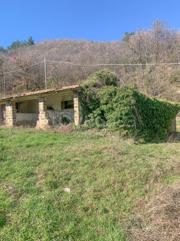immagine annuncio 7 di 9