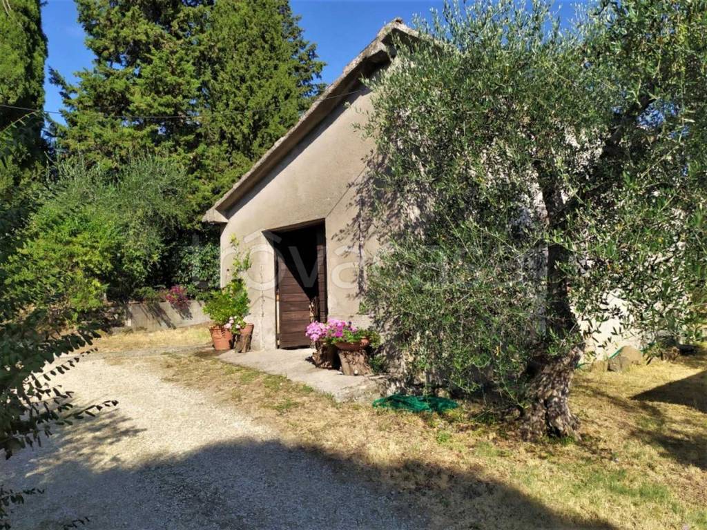 immagine annuncio 1 di 6