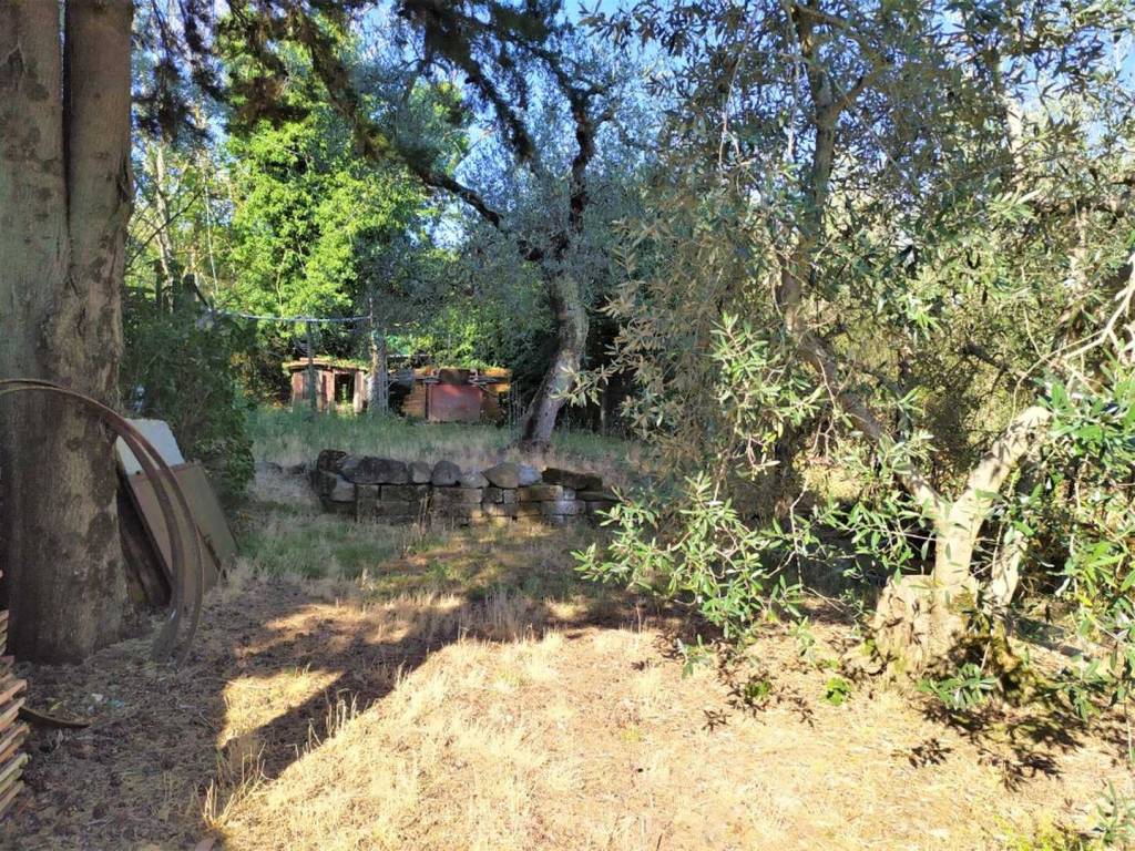 immagine annuncio 5 di 6