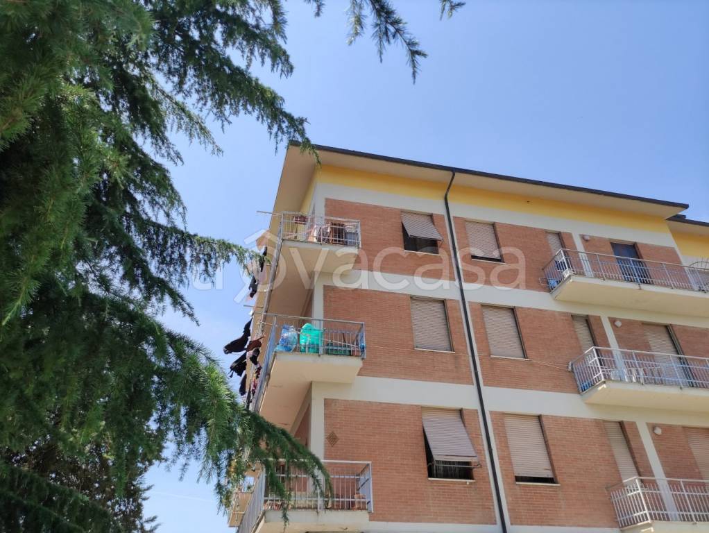 immagine annuncio 1 di 7