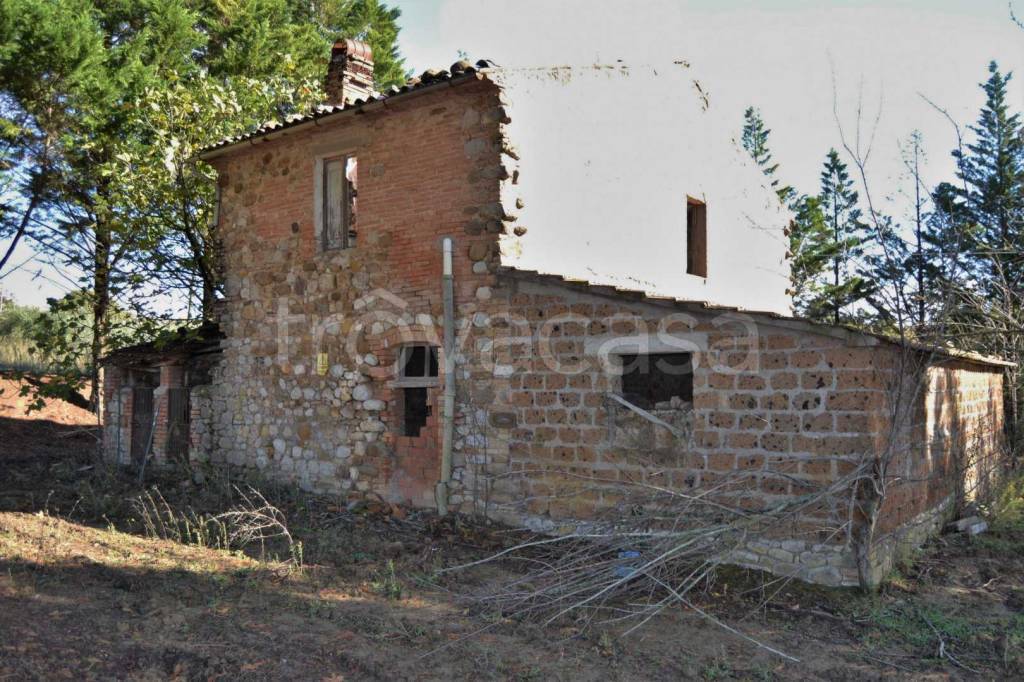 immagine annuncio 3 di 8