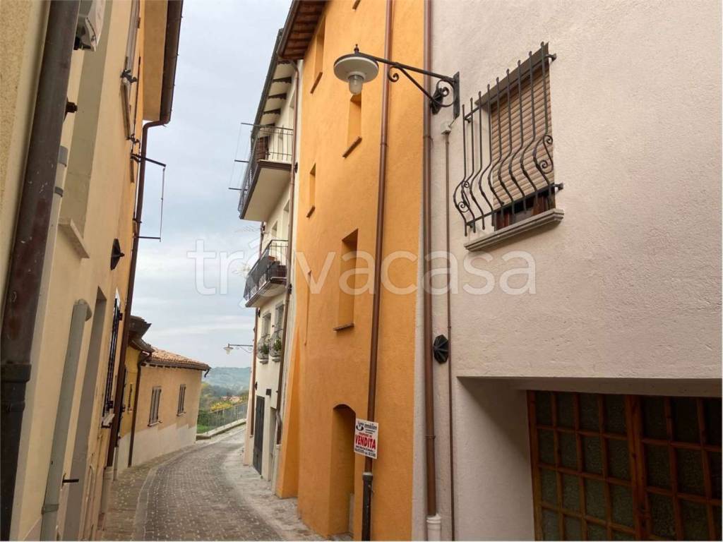 immagine annuncio 11 di 13