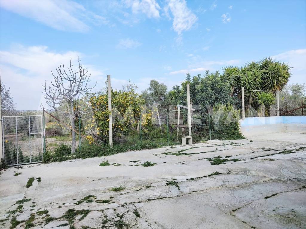 immagine annuncio 5 di 8