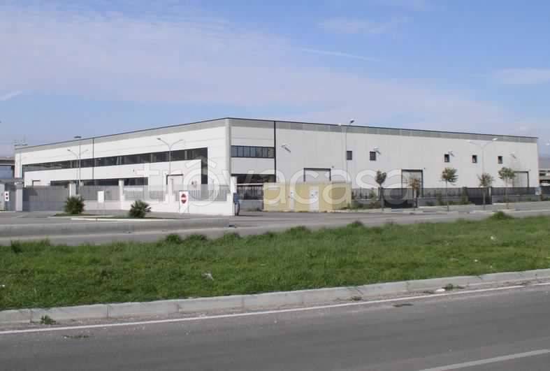 Capannone Industriale in in affitto da privato a Marcianise strada Provinciale Tavernette
