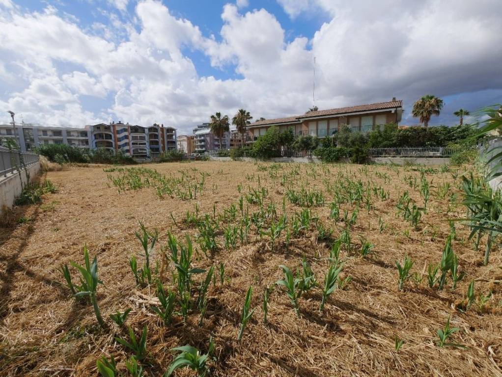 immagine annuncio 3 di 8