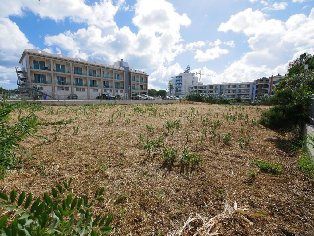 immagine annuncio 4 di 8