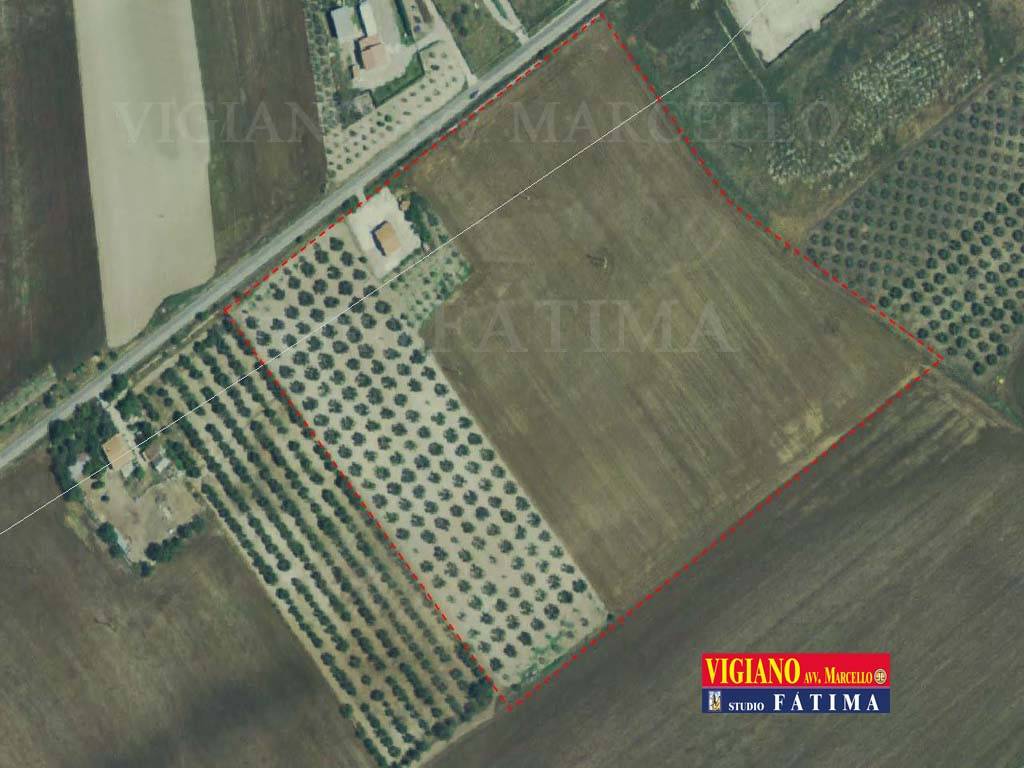 Terreno Agricolo in vendita a Troia sp115