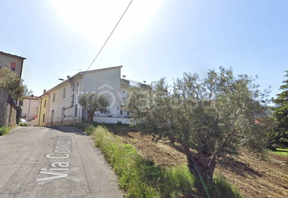 immagine annuncio 1 di 4