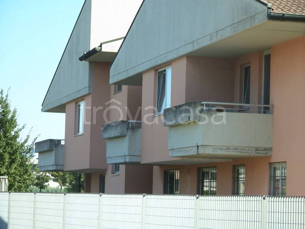 immagine annuncio 10 di 11