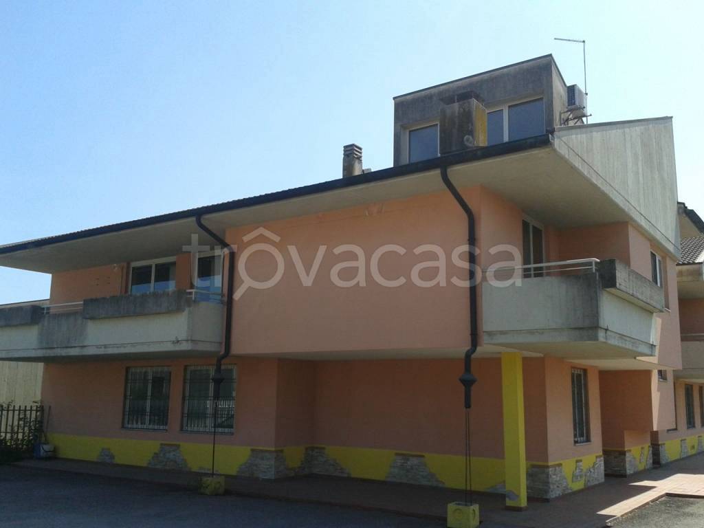 immagine annuncio 4 di 11