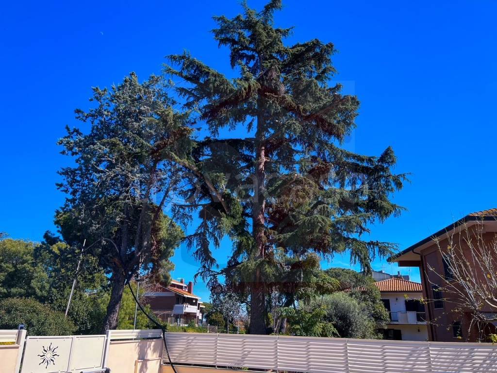 Villa Bifamiliare in vendita a Cerveteri via Claudio Monteverdi