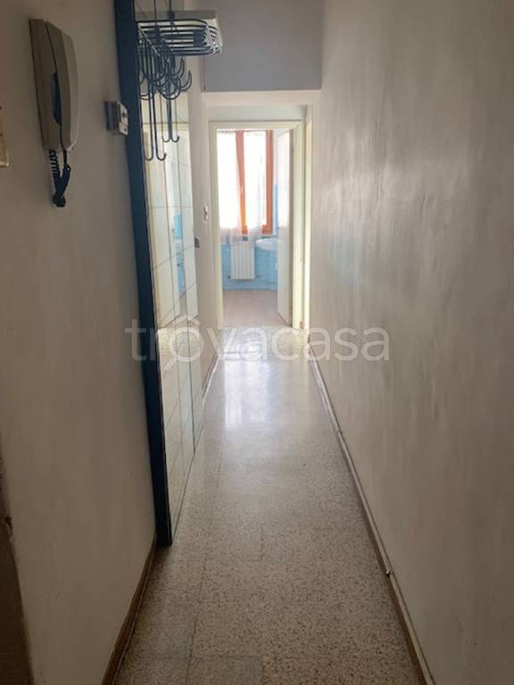 immagine annuncio 7 di 14