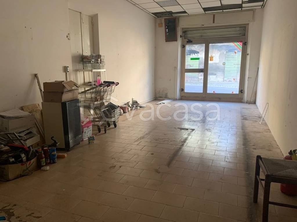 immagine annuncio 11 di 14