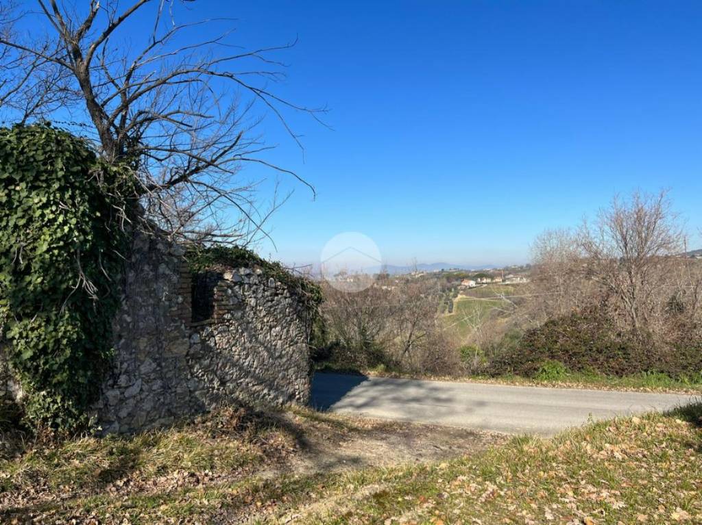 Terreno Residenziale in vendita a Calvi dell'Umbria contrada pacifici