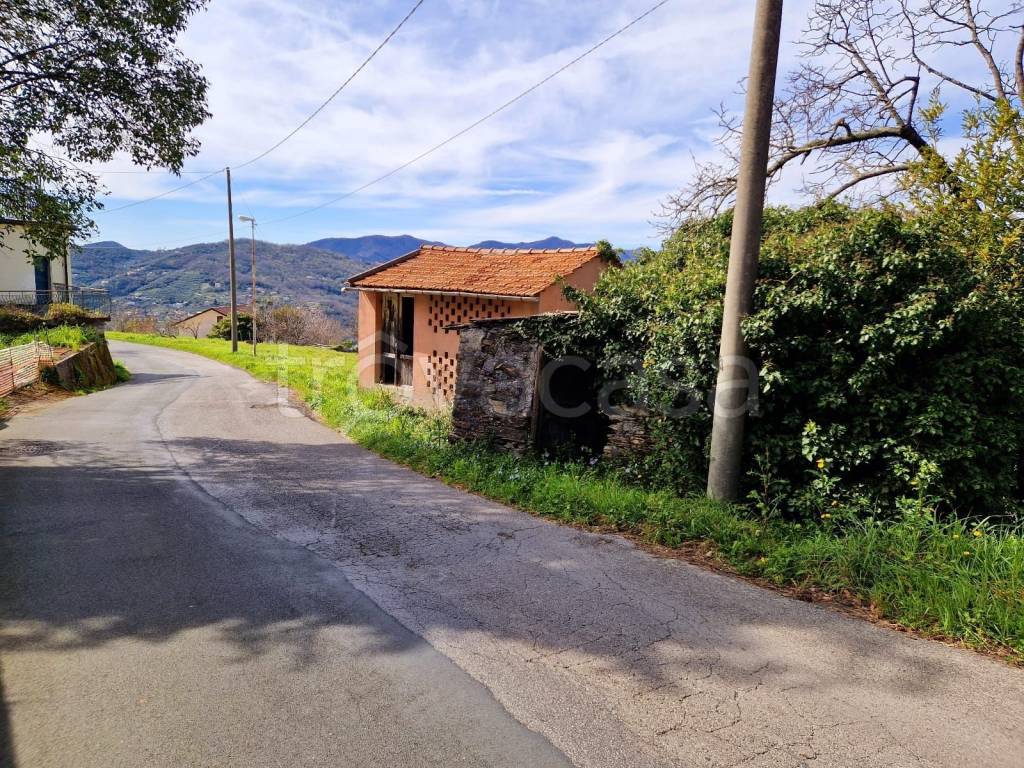 immagine annuncio 1 di 9