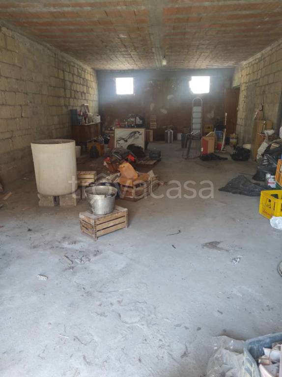 immagine annuncio 10 di 14