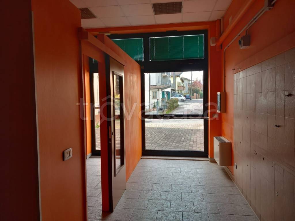 immagine annuncio 5 di 13