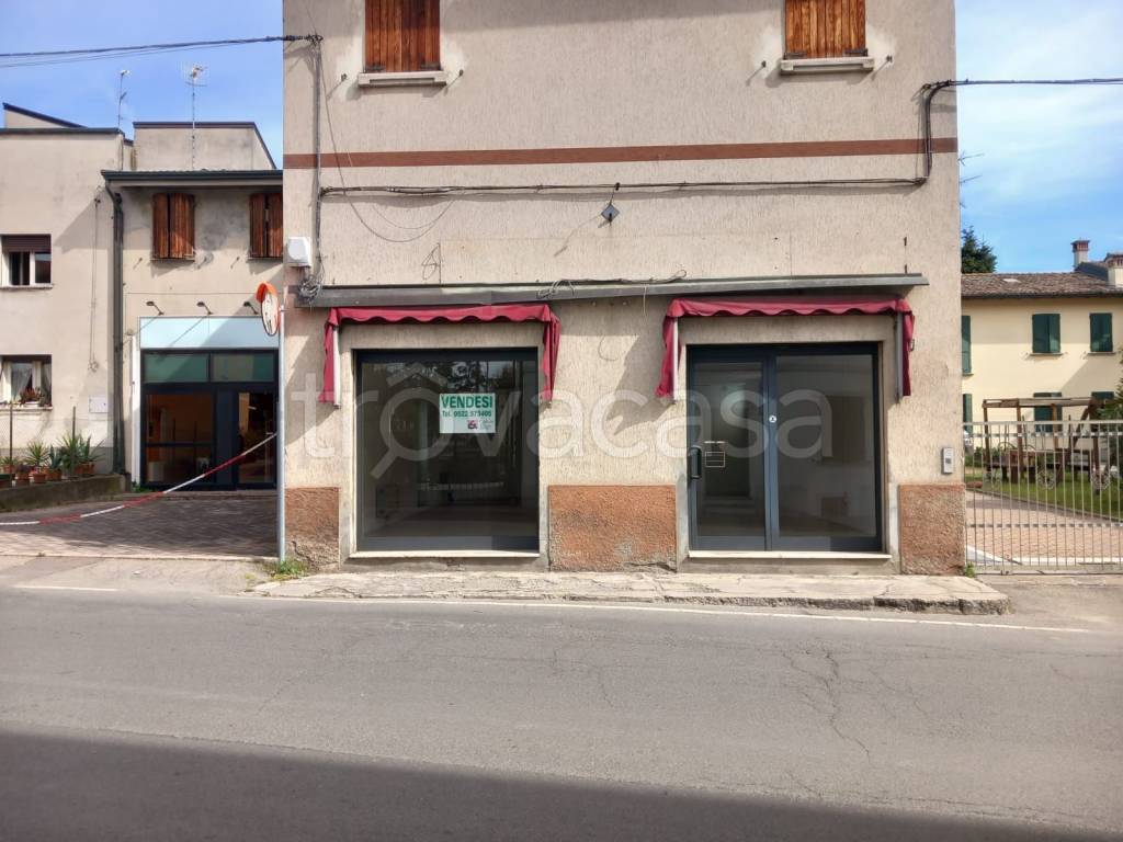 immagine annuncio 9 di 13