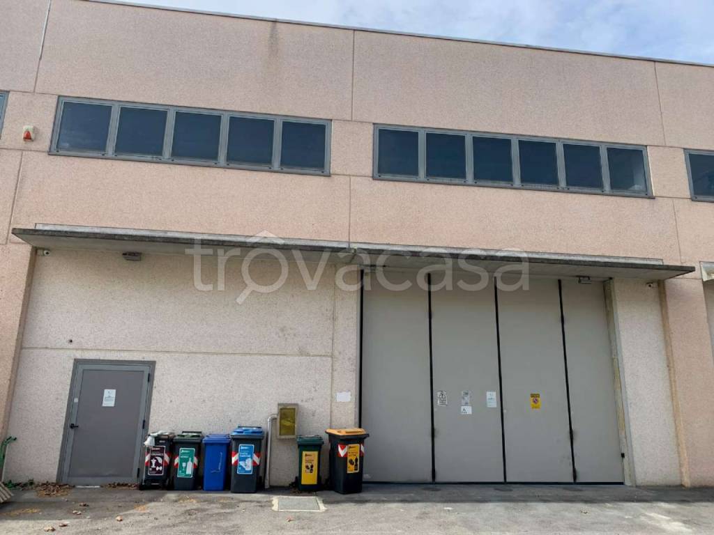 immagine annuncio 1 di 13