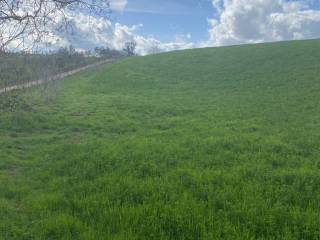 Terreno agricolo in vendita a roma via della giustiniana, 680